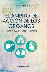 Image Alt Text